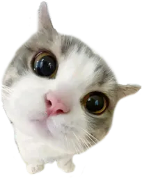 :Maou: