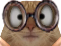:chat_louche_: