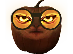 :citrouille_chat: