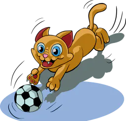 :chat_foot: