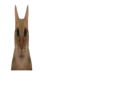 :chatmalcadre2: