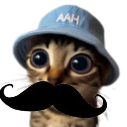 :Chat_moustache: