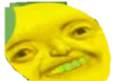 :Citron_debile: