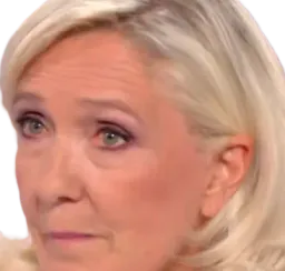 :marine_doute: