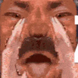 :Zozo_crier: