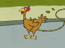 :poule01: