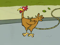:poule01: