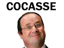 :FRANCOIS_COCASSE: