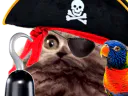 :chat_pirate: