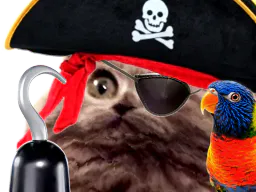 :chat_pirate: