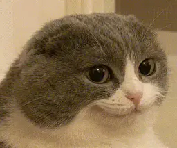 :Melvin: