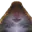 Photo de profil de Hamster