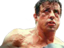 :boxe_rocky: