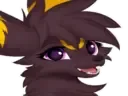 :JoeUmbreHappy: