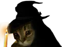 :chat_fdv: