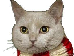:Chat-Triss7: