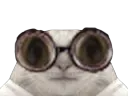 :Chat-Cru102: