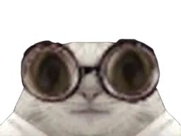:Chat-Cru102: