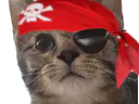 :ChatPirate2: