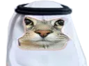 :CS_islam: