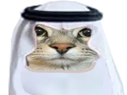 :CS_islam: