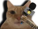 :chatjuif2: