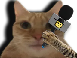:chatjuif2: