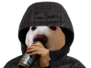 :chien_alcool: