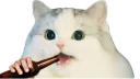 :Cattobiere2: