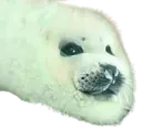 :SilenceDeter_vicieux: