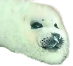 :SilenceDeter_vicieux: