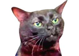 :chanoir22_detoure: