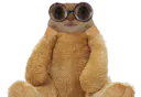 :chat_lunette_peluche: