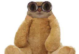 :chat_lunette_peluche: