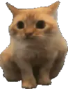 :chatlimite2inverse: