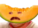 :melon_risitas: