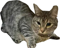 :cs_peur: