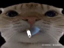 :ChakFume: