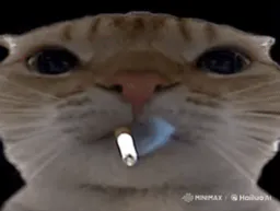 :ChakFume: