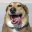 Photo de profil de LeakyDoggy