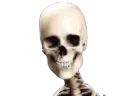 :Squelette_content: