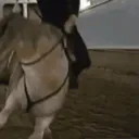 :ZidaneRoulade: