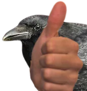 :Corbeauok: