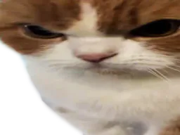 :chatvnr1:
