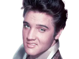 :elvis: