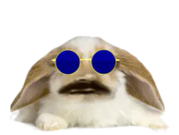 :Lapin_Belier_Kali_Yuga: