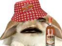 :Lapin_Marlou: