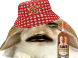 :Lapin_Marlou: