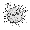 Astrononche