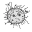 Photo de profil de Astrononche
